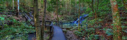 Kondalila Falls Walking Track - QLD (PB5D 00 51A0095)